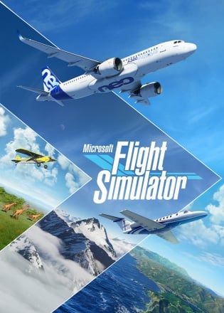 Microsoft Flight Simulator